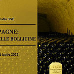 CHAMPAGNE: LA SCIENZA DELLE BOLLICINE