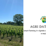 SIVE, partner del progetto Agri Data Value : smart farming in vigneto contro gelate primaverile e malattie