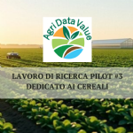 SIVE, partner del progetto Agri Data Value presenta il video sul lavoro di ricerca pilot #3 dedicato ai cereali